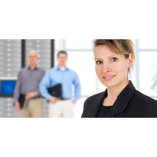 Businesswoman and IT support team stock photo