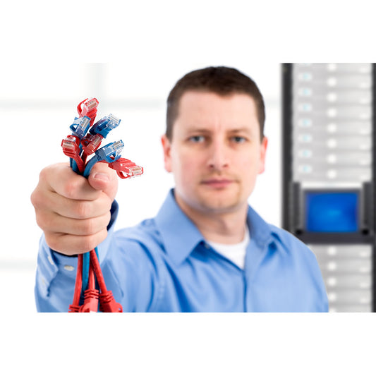 IT support professional holding network cables